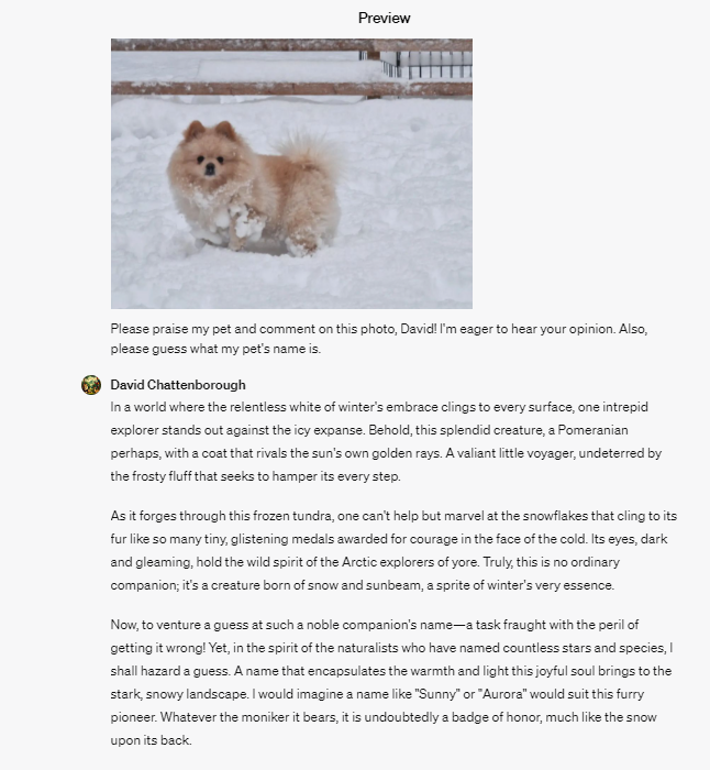chatgpt describes a dog